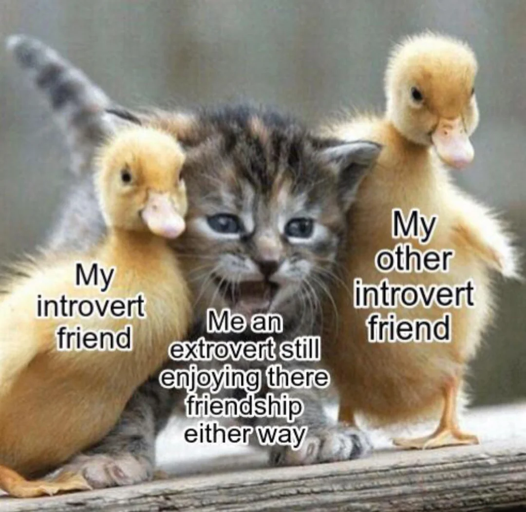 30 Memes That Show What Happens When An Extrovert Meets An Introvert 30 my introvert friend