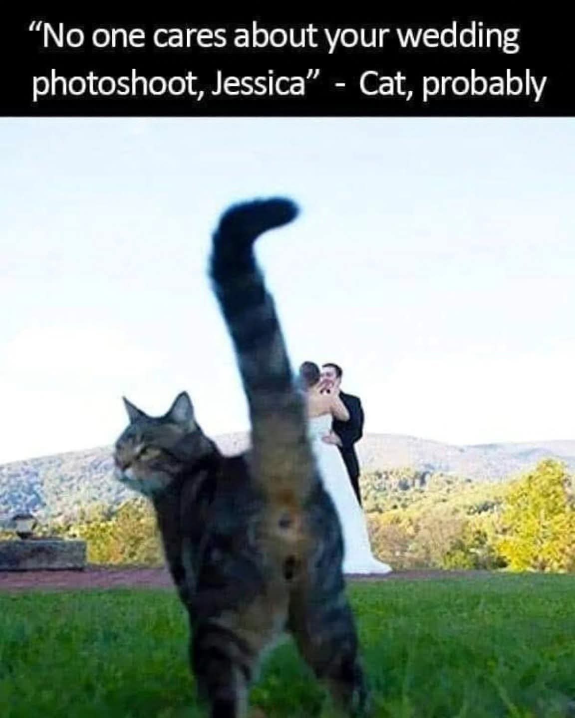 no one cares about your wedding