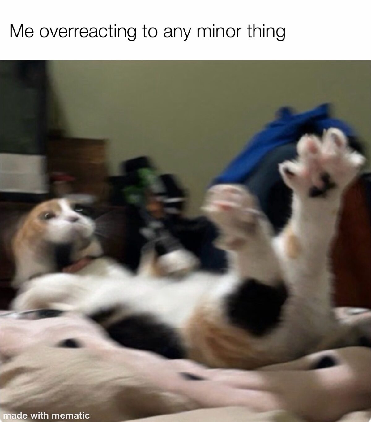 40 Cat Humor Memes: A Prescription for Instant Smiles 42 overreacting to minor thing