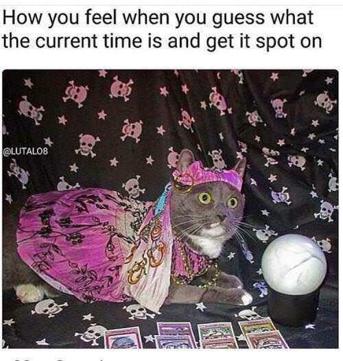 20 Random Memes Straight Outta Nowhere 9 ow you feel