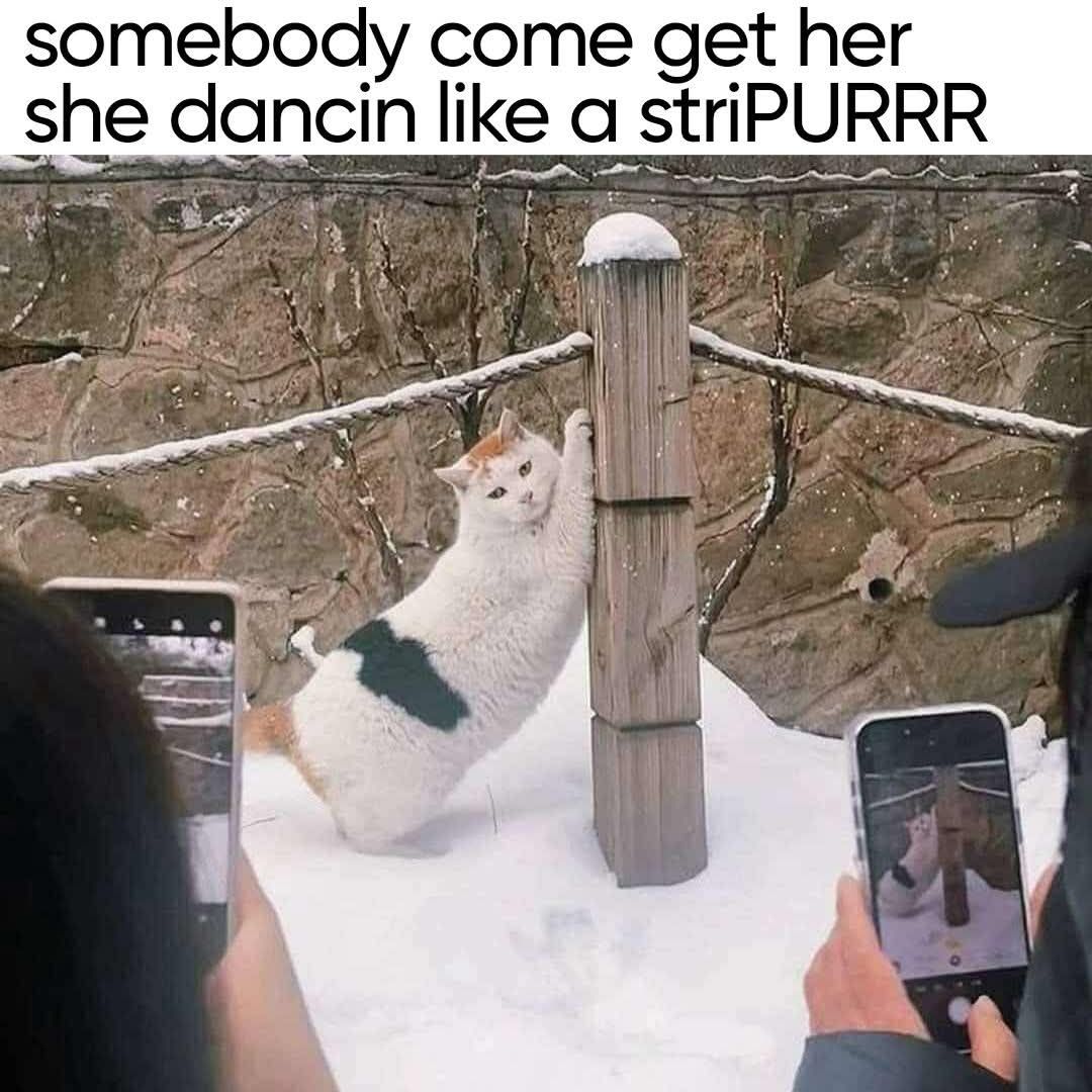 somebody come get her