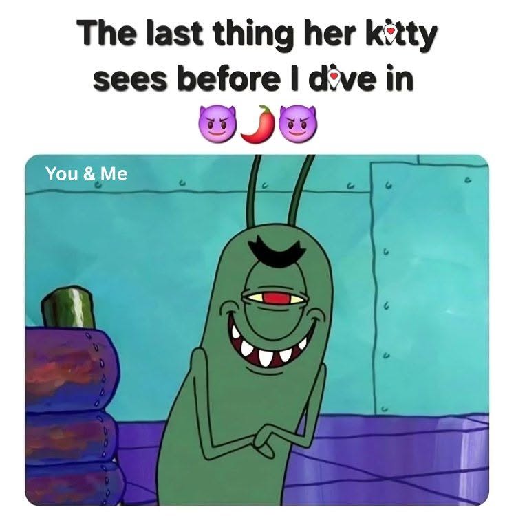 25 Memes So Suggestive Even Your Screen Will Fog Up 25 the last thing