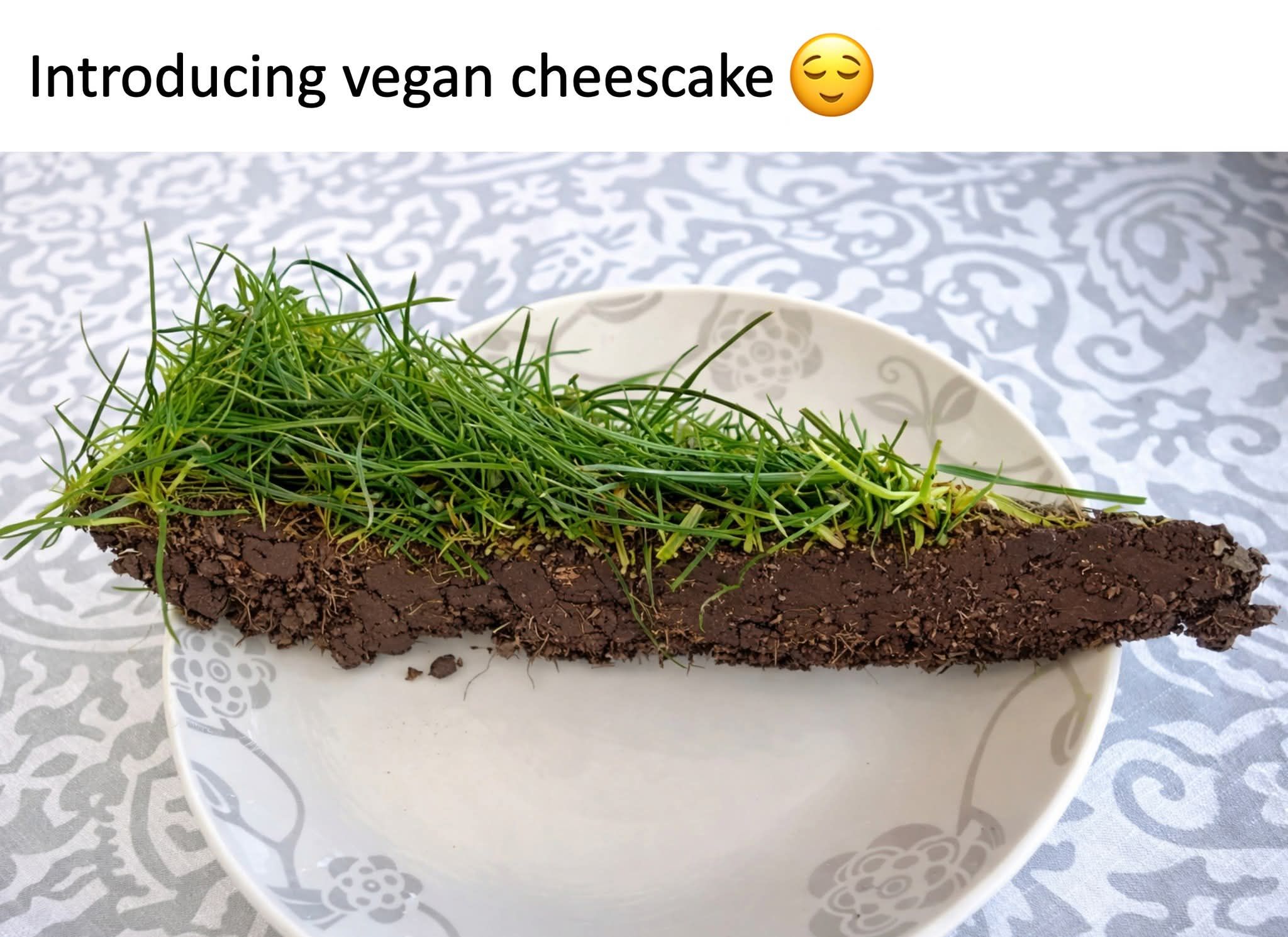 45 Vegan Memes That Will Have Non Vegans Saying, 'Don't Kale My Vibe! 47 vegan cheesecake