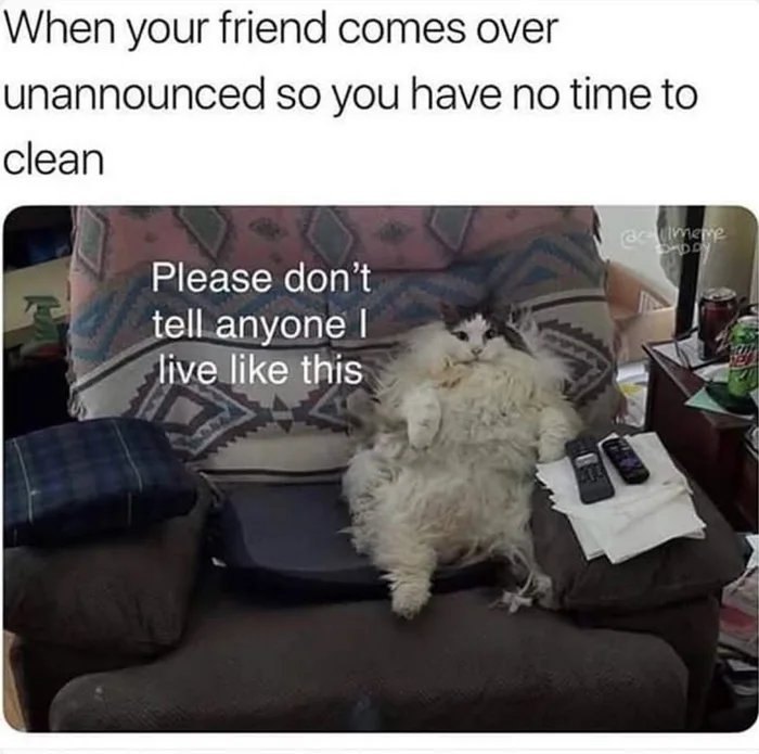 when your friend comeover