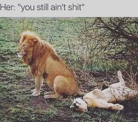 25 Memes Your Brain Will Try to Return but No Refunds Allowed 27 you still aint