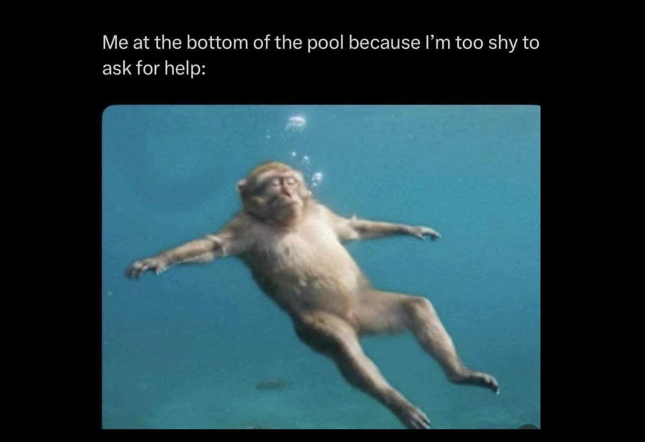 20 Memes That Are Equal Parts WTF and LOL - FG