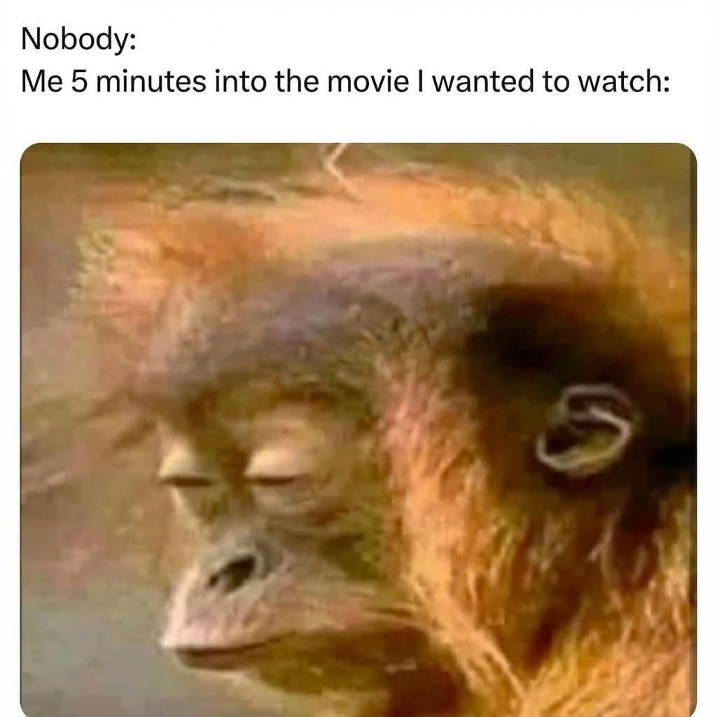 5 minutes into the movie