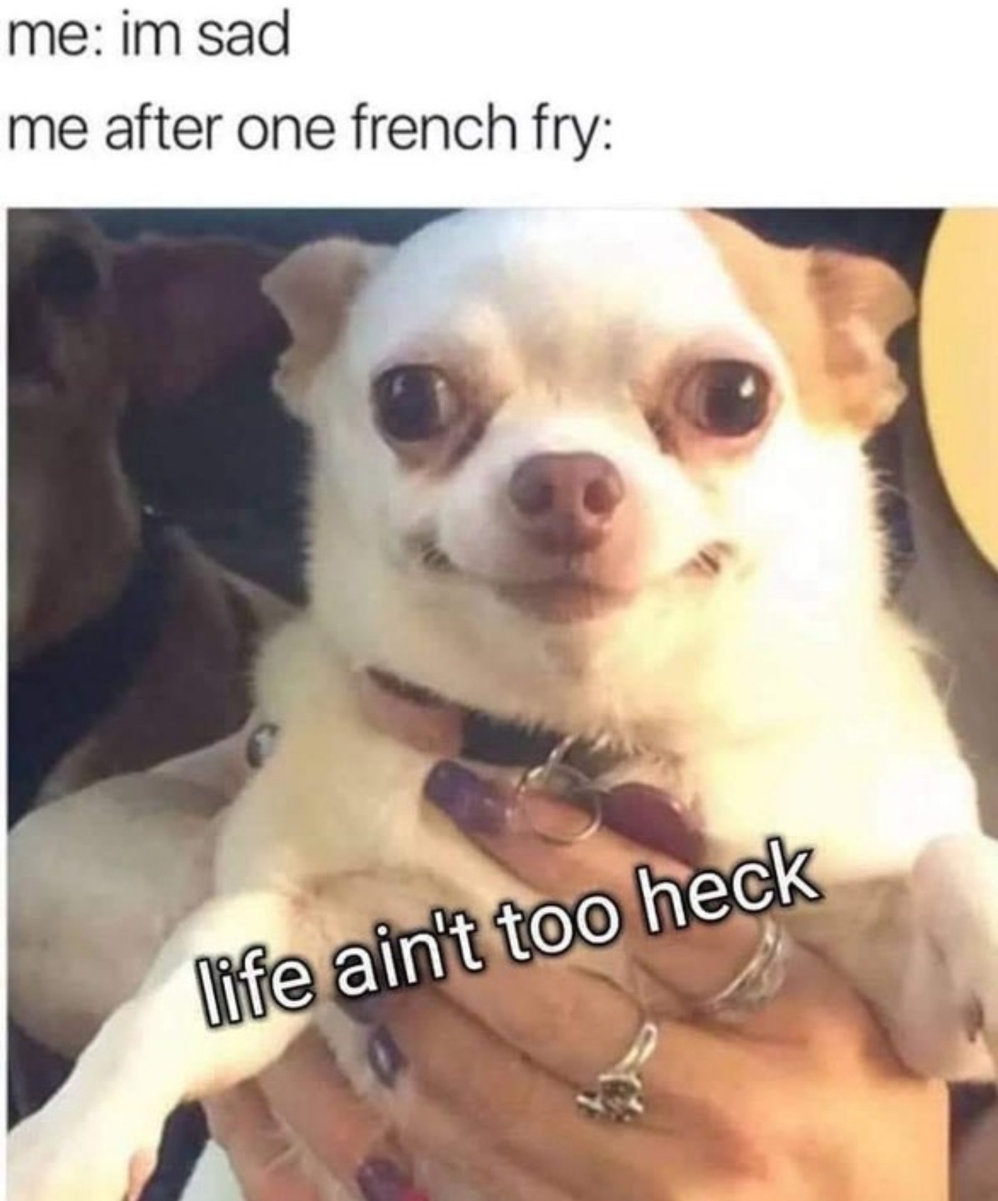 After one french fries