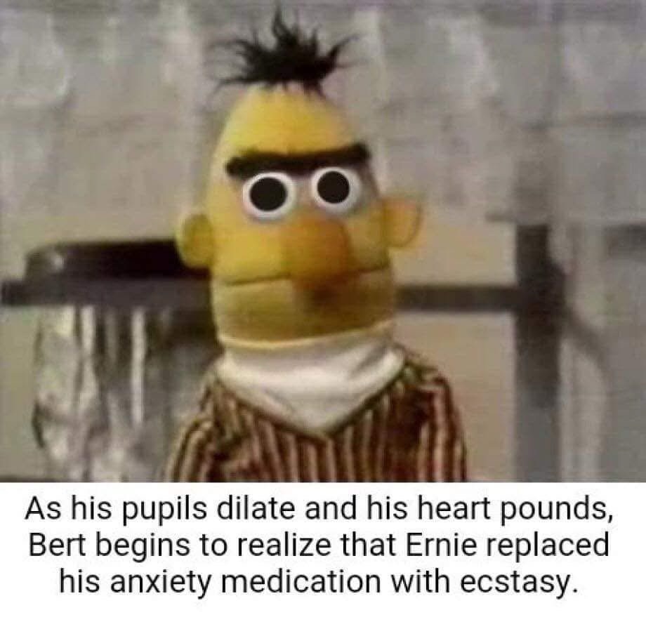 35 Memes So Wild They Should Come with a Seatbelt 33 Bert realised
