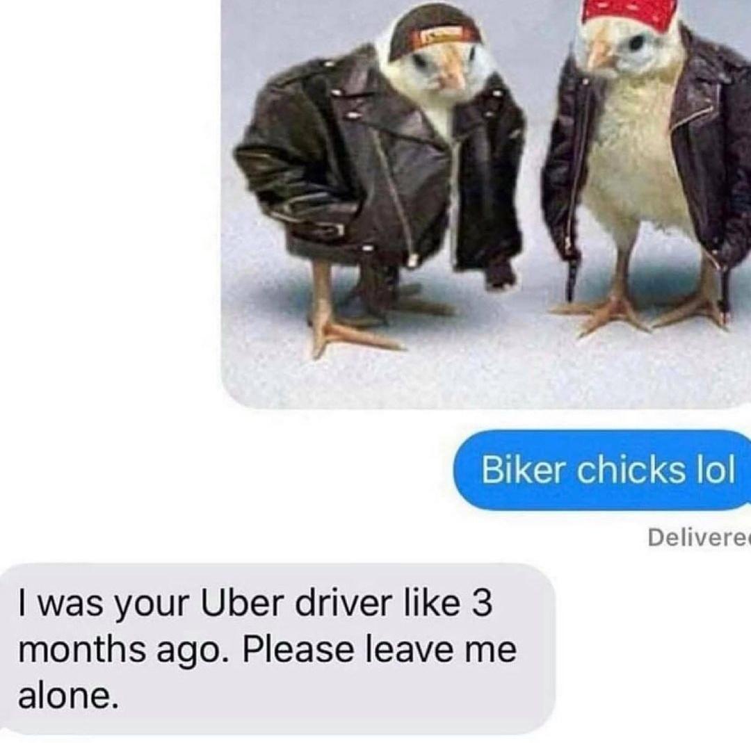 Biker chicks