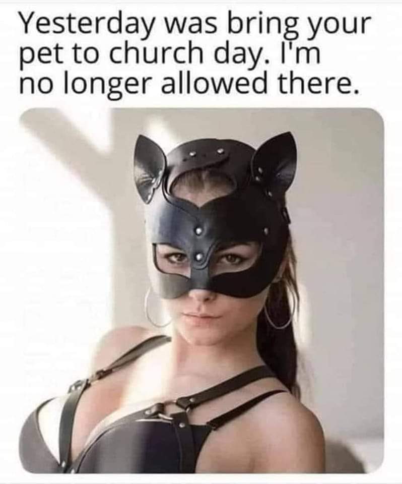 Bring your pet