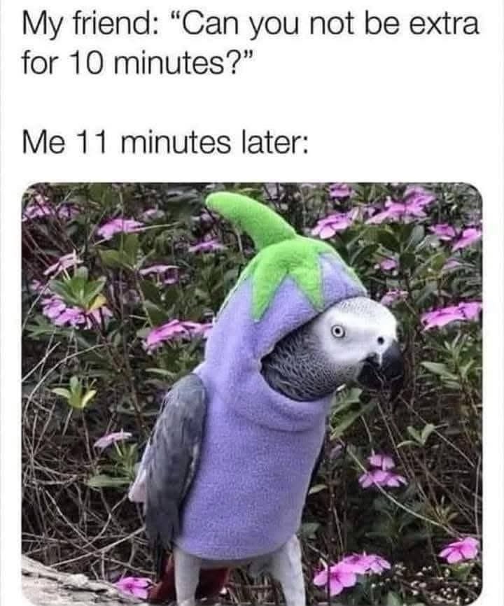 Can you not be extra