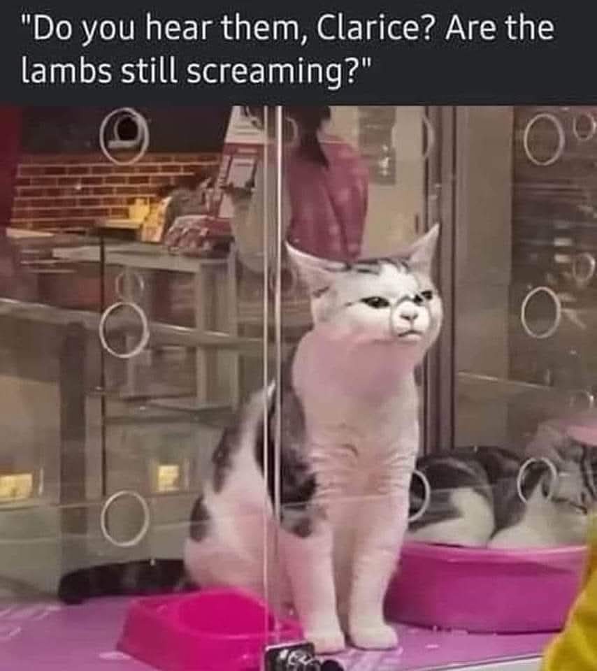 20 Memes That Are Funny, Relatable, and Slightly Naughty 6 Do you hear them