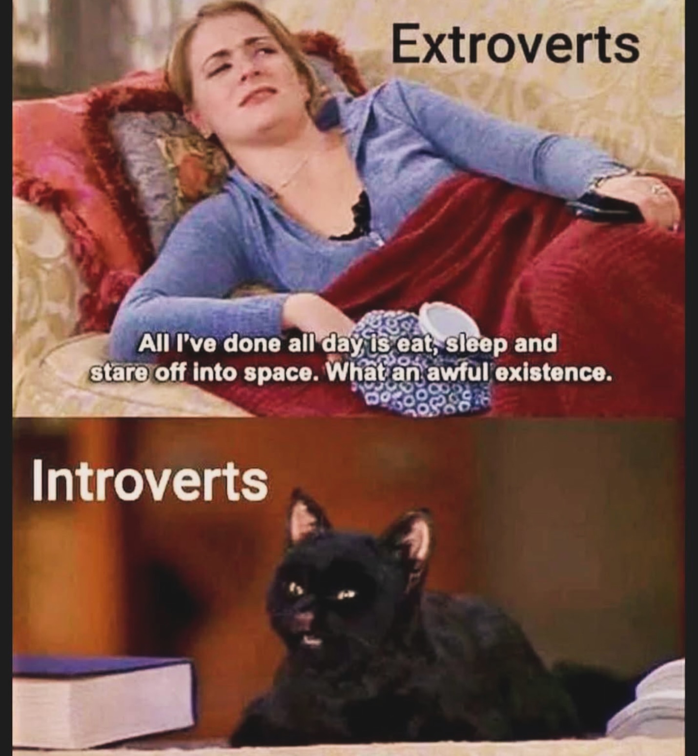 20 Introvert Memes That Are Loud Internally and Silent Externally 4 Extrovert vs introvert