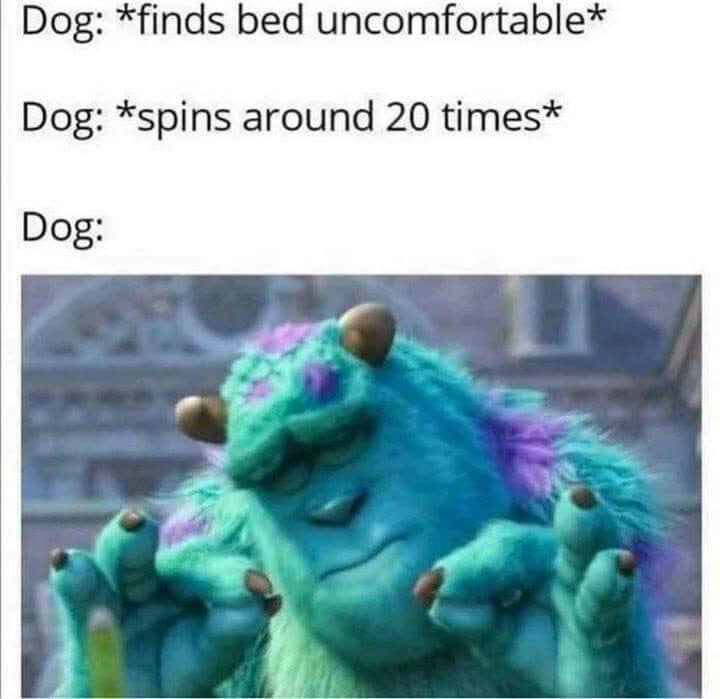 Find beds uncomfortable
