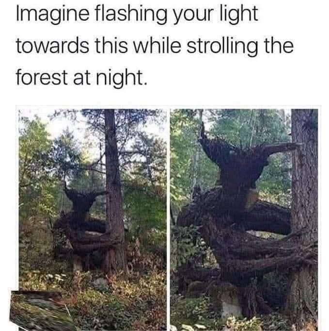Flashing your light