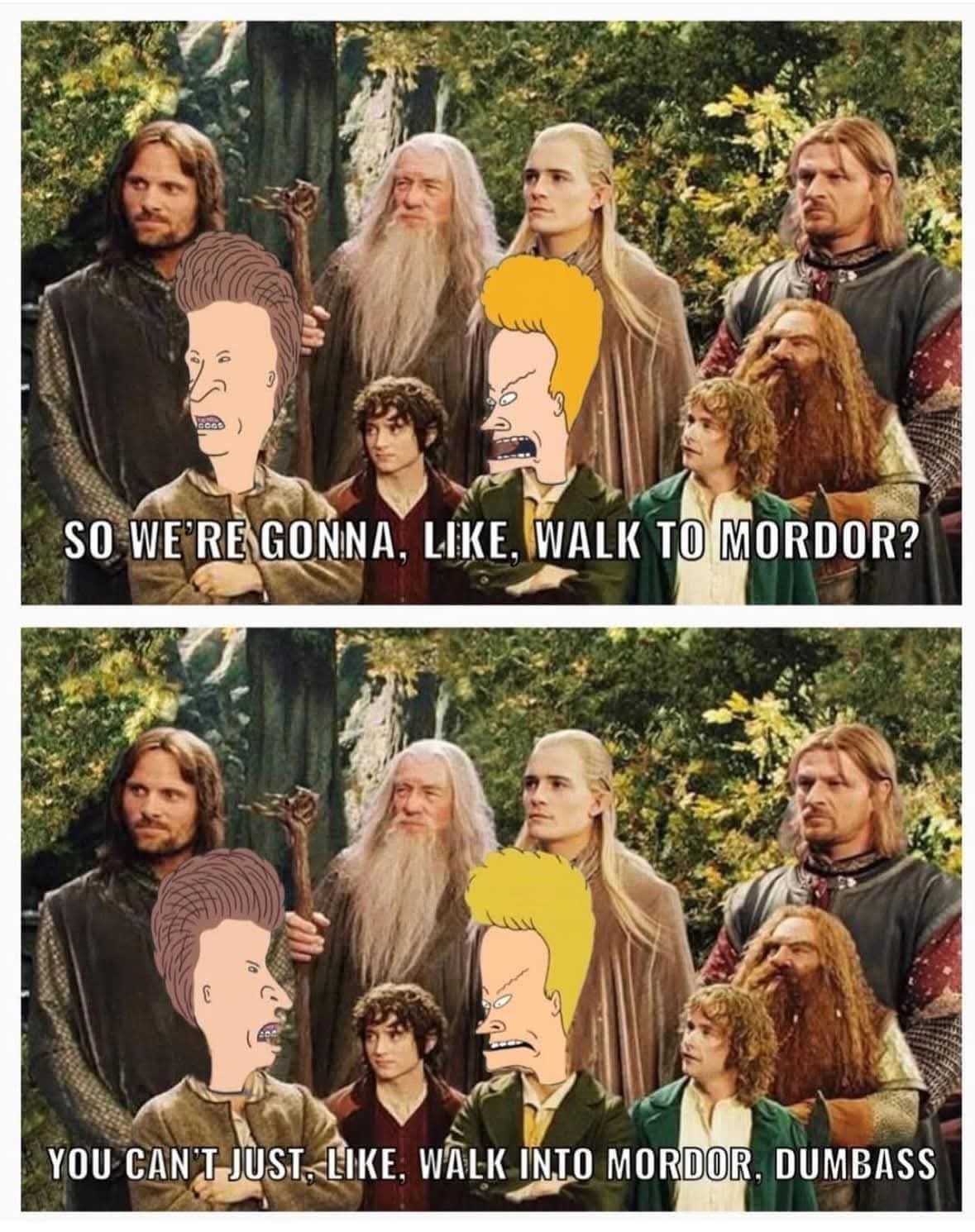 40 LOTR Memes That Will Make You Giggle Like Gollum with the Precious 38 Gonna walk