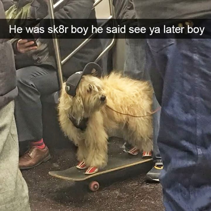 He was a skater boy