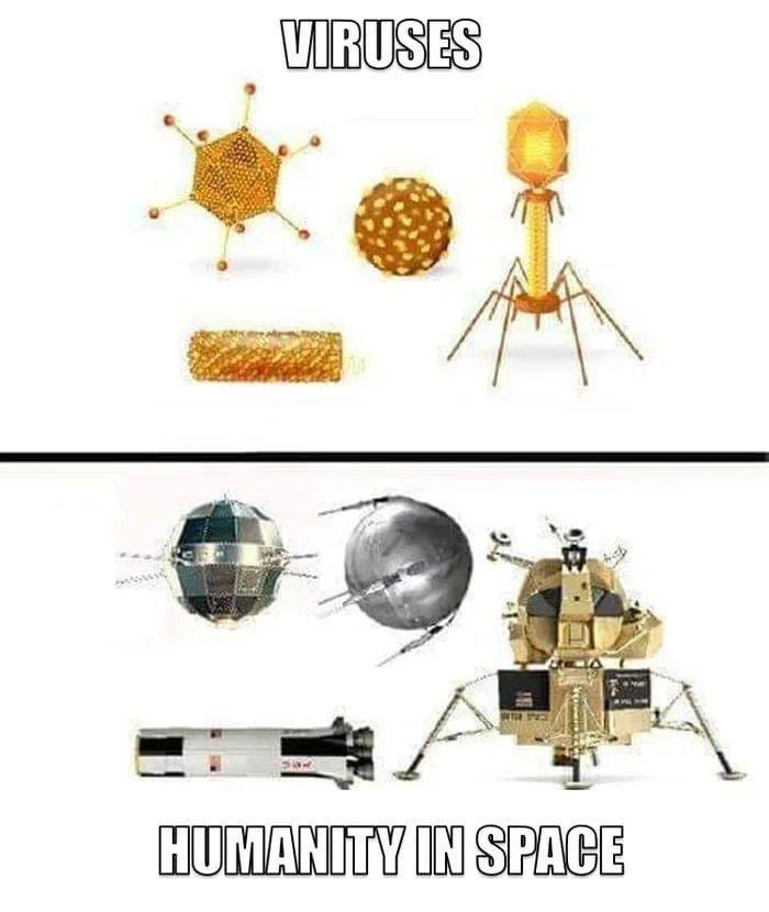 20 Memes That Are Weirder Than Your Weirdest Dream 7 Humanity in space