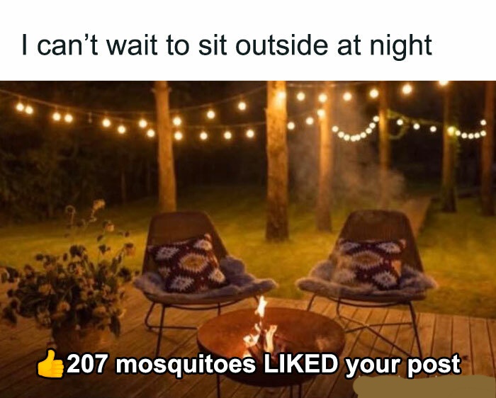 35 Memes That Make No Sense but All the Sense 34 I cant wait to sit