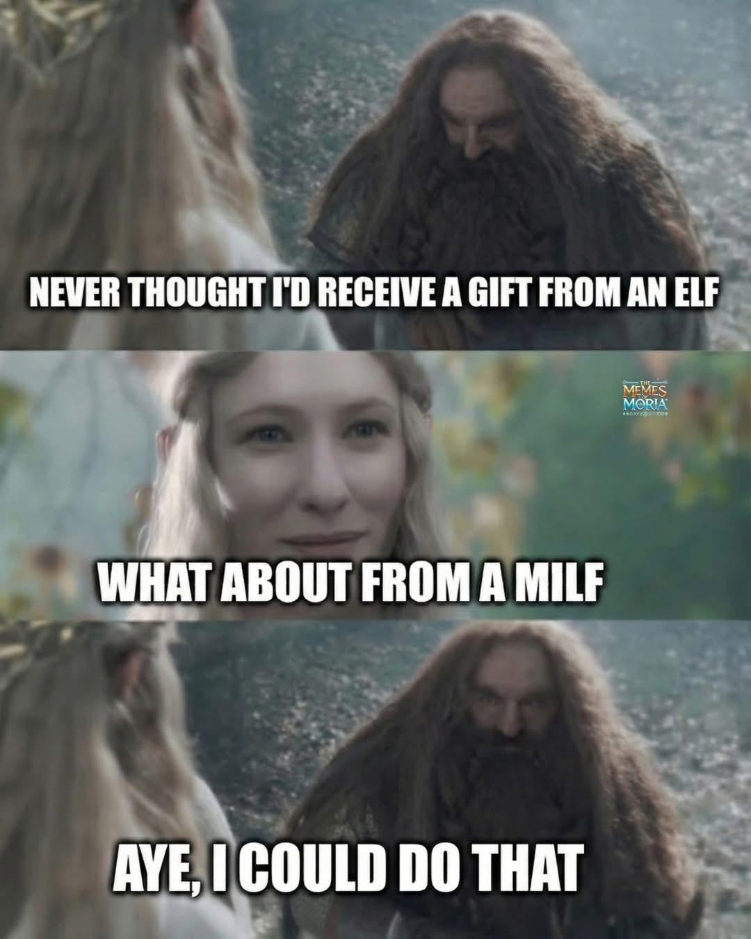40 LOTR Memes That Will Make You Giggle Like Gollum with the Precious 39 I could do that