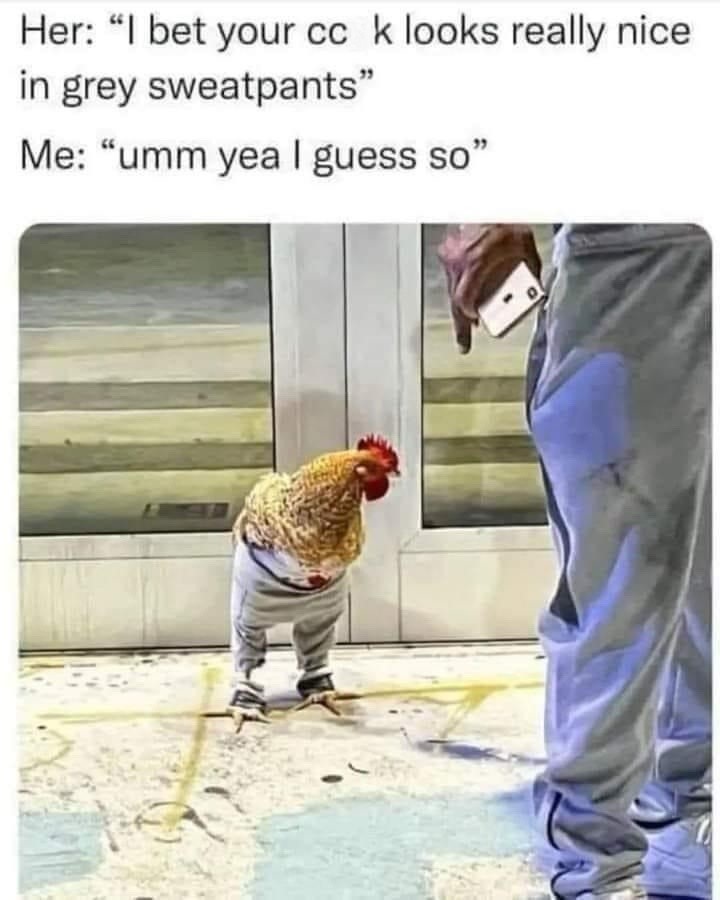 32 Naughty Memes That Make You Scroll Faster When Someone Walks In 30 I guess so
