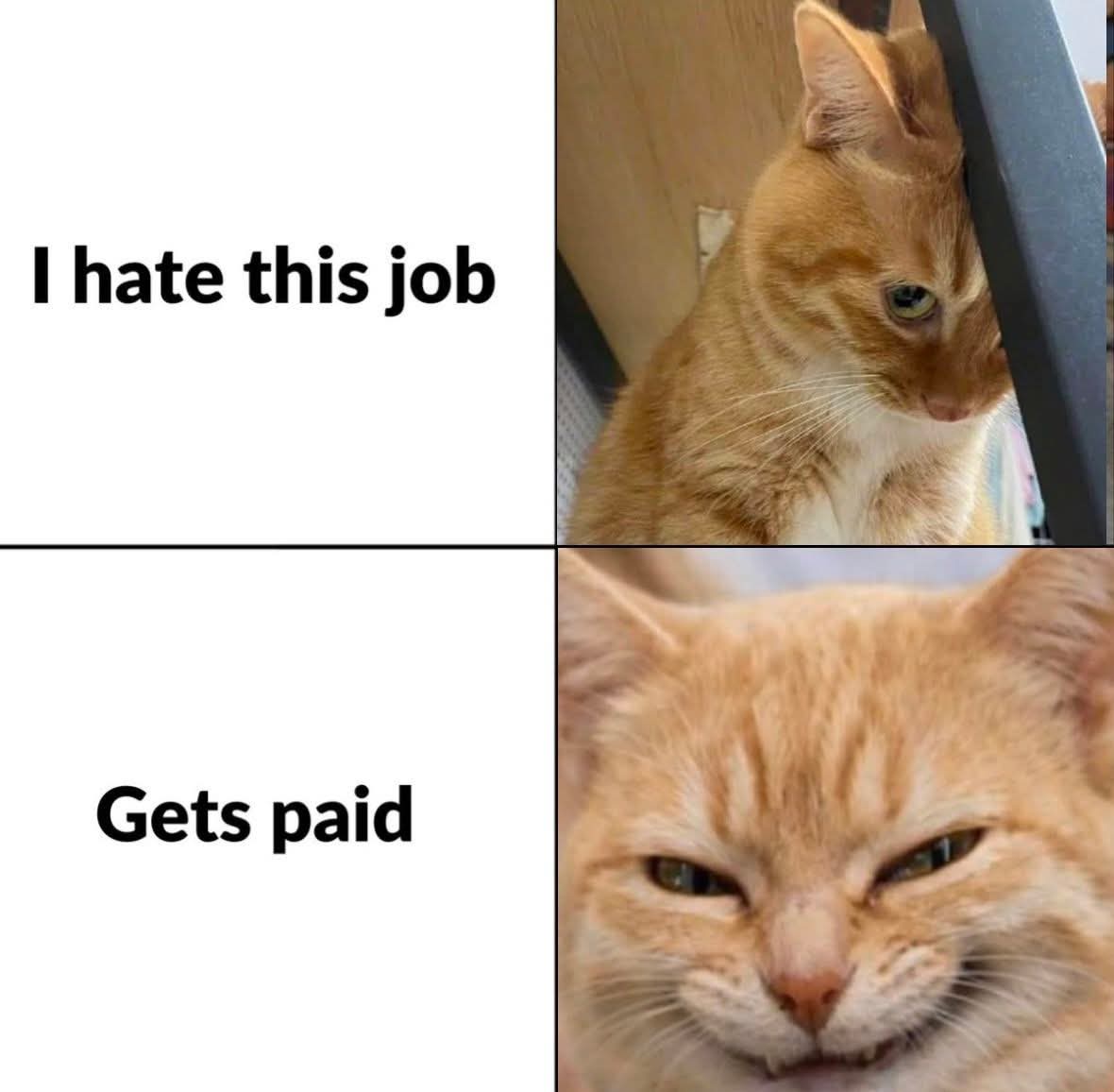 35 Memes That Are More Relatable Than Your Horoscope 33 I hate this job