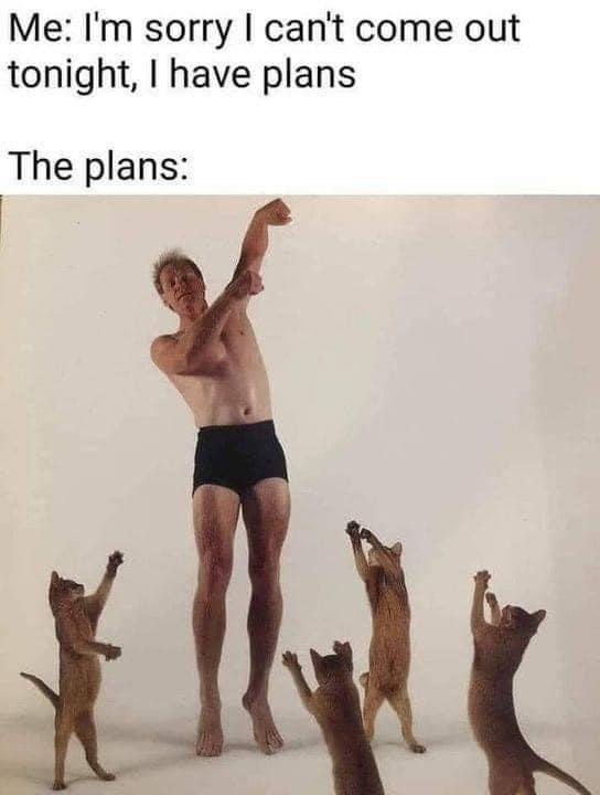 I have plans