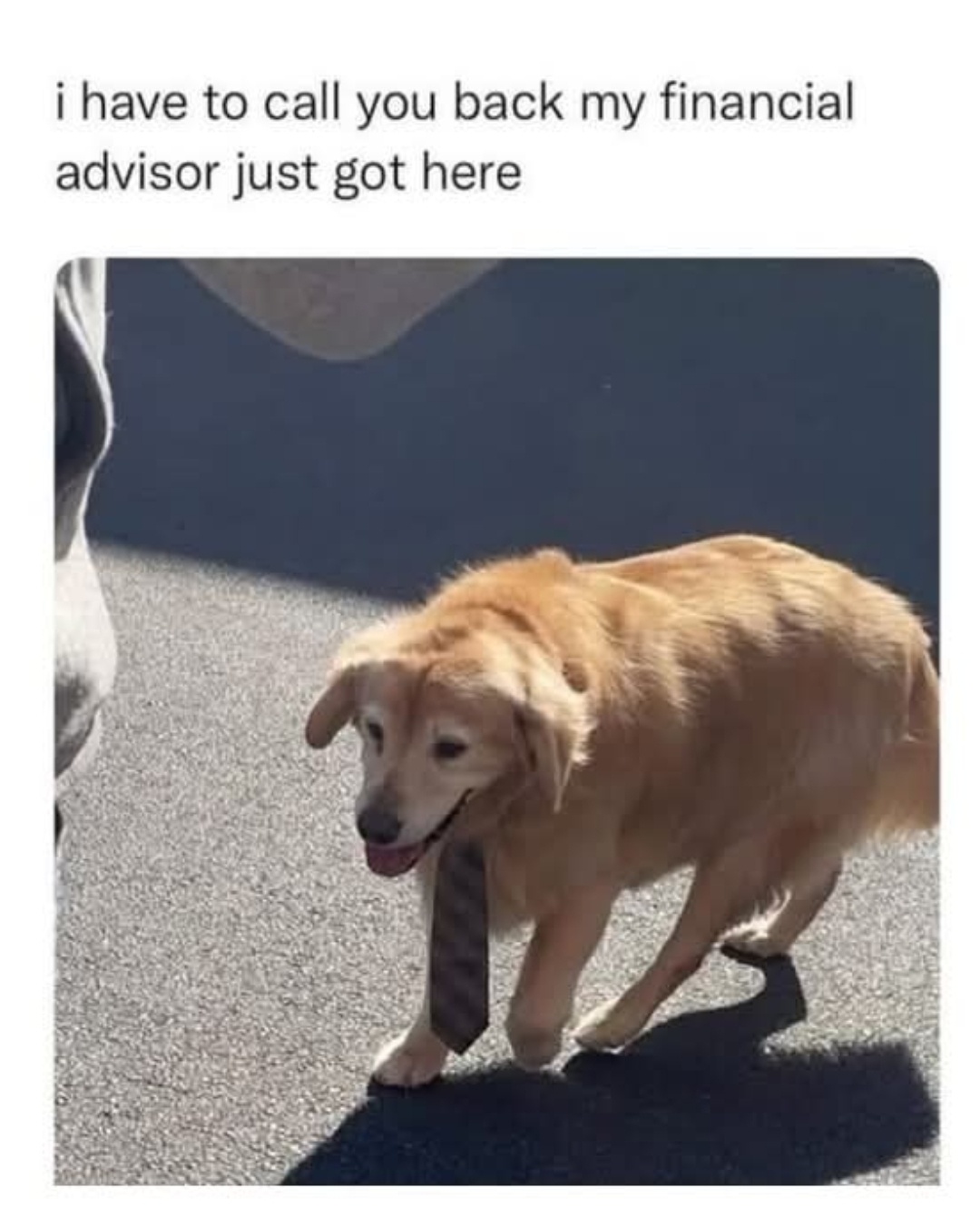 20 Memes That Are Weirder Than Your Weirdest Dream 8 I have to call you back