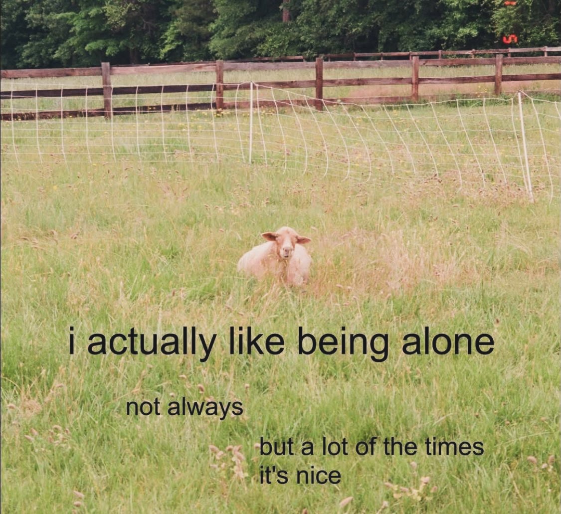 20 Introvert Memes That Are Loud Internally and Silent Externally 7 I like being alone