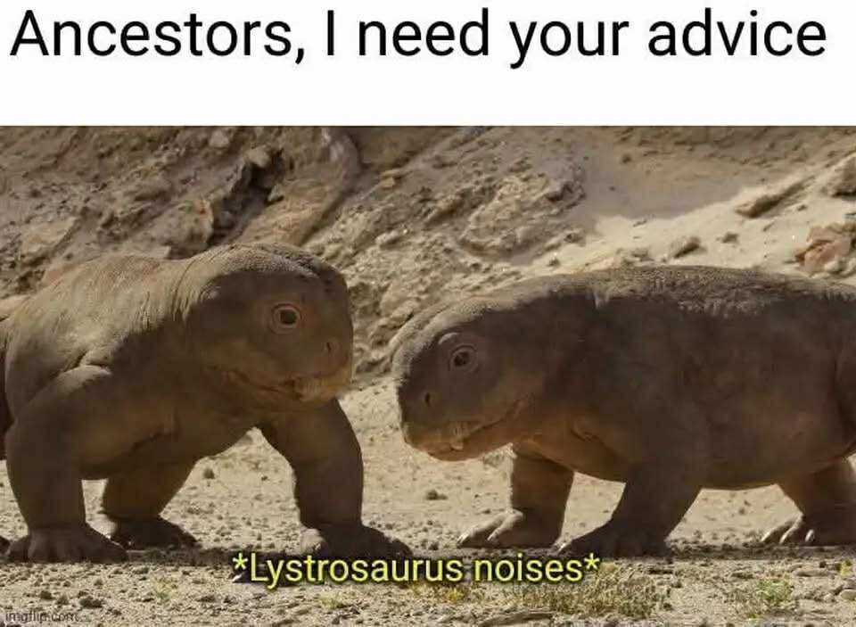 20 Memes That’ll Make You Exhale Through Your Nose Aggressively 9 I need your advice