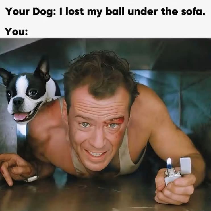 20 Memes That Are Weirder Than Your Weirdest Dream 9 I ost my ball