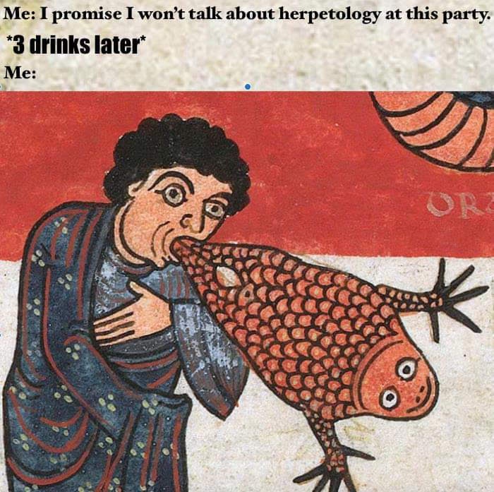 20 Memes Powered by Chaos, Poor Decisions, and Snacks 9 I wont talk about