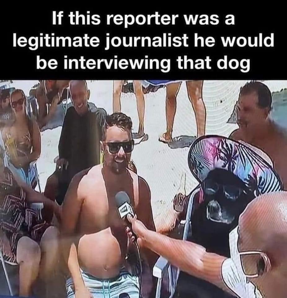 Interviewing that dog