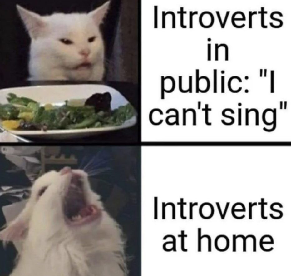 20 Introvert Memes That Are Loud Internally and Silent Externally 9 Introverts in public