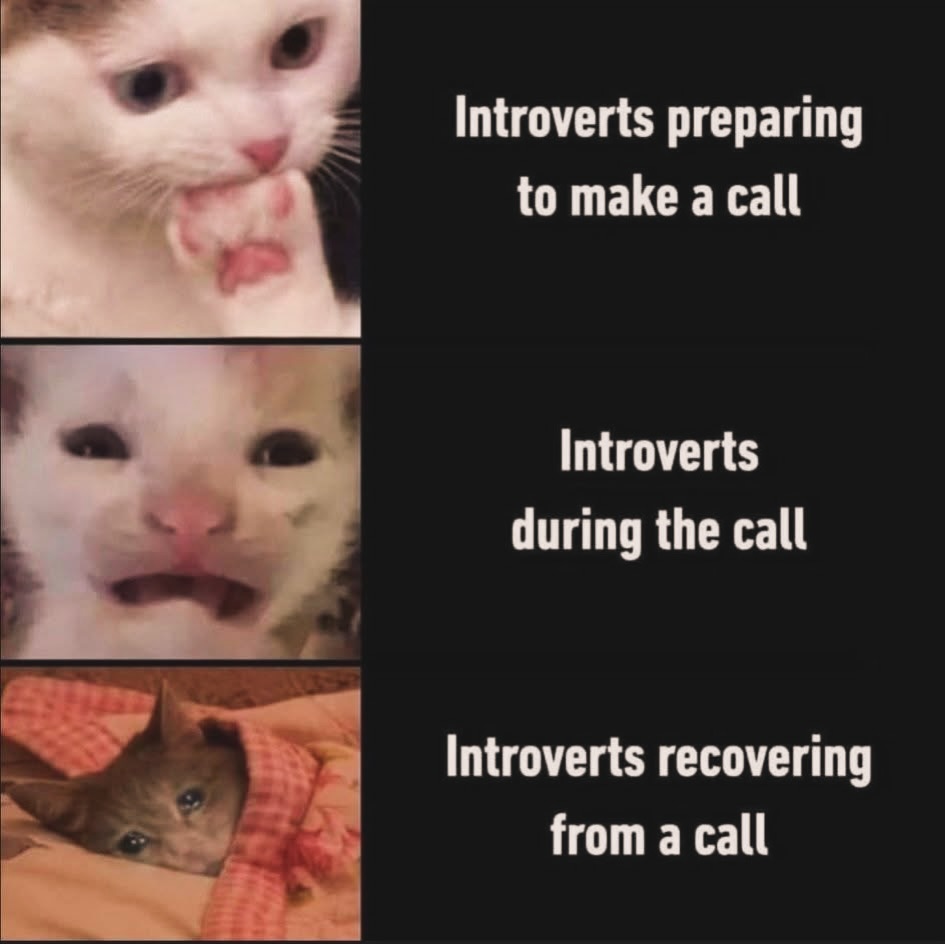 20 Introvert Memes That Are Loud Internally and Silent Externally 10 Introverts preparing to make call
