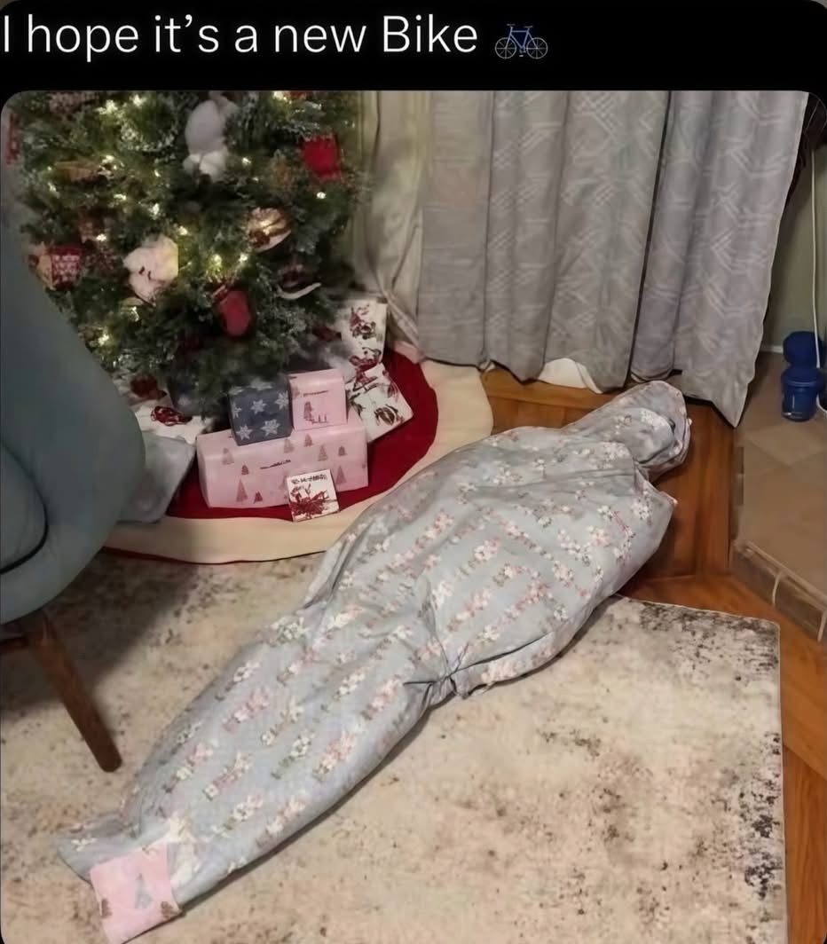 20 Memes That’ll Make You Exhale Through Your Nose Aggressively 10 Its a new bike