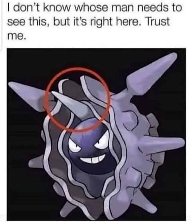 20 Memes That Are Funny, Relatable, and Slightly Naughty 12 Its right here