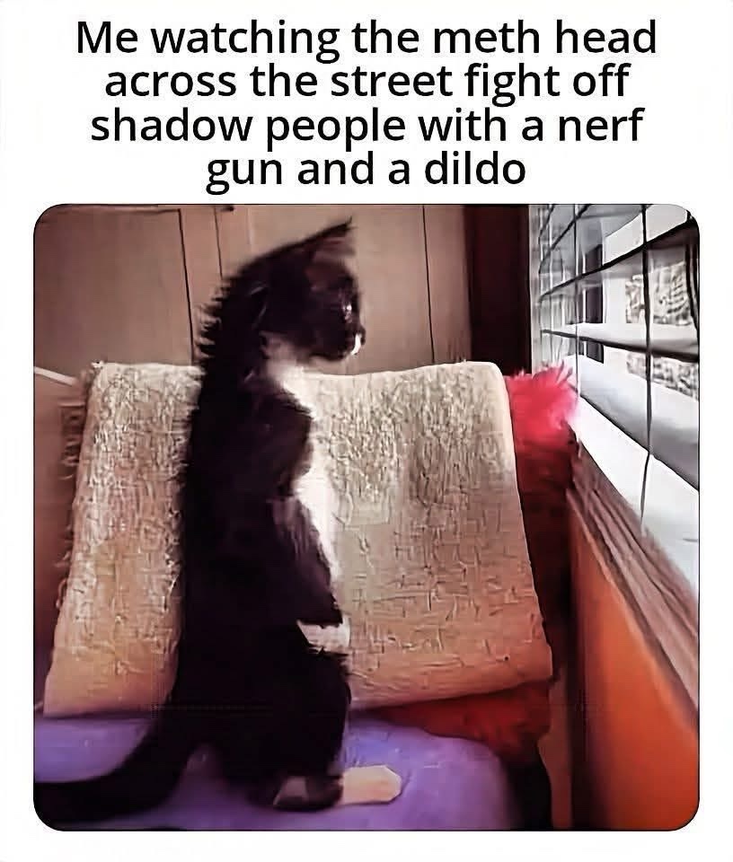 20 Memes Powered by Chaos, Poor Decisions, and Snacks 12 Me watching