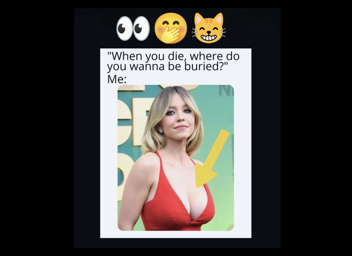 Memes That Could Ruin Your Innocence in 5 Seconds Flat - FG