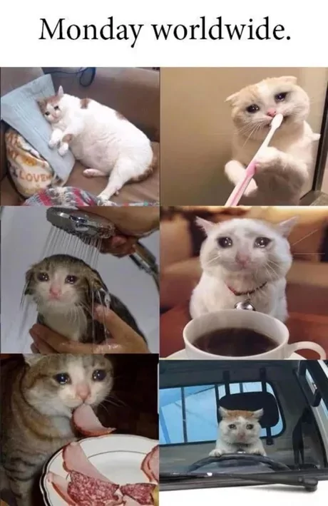 35 Monday Humor Memes for Hardcore Monday Haters 35 Monday worldwide