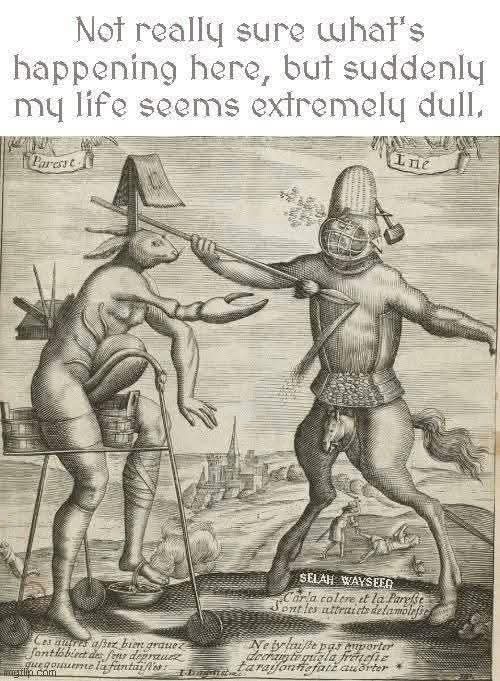 20 Memes That Explained Nothing but Felt Correct 15 Not sure whats hapenning here