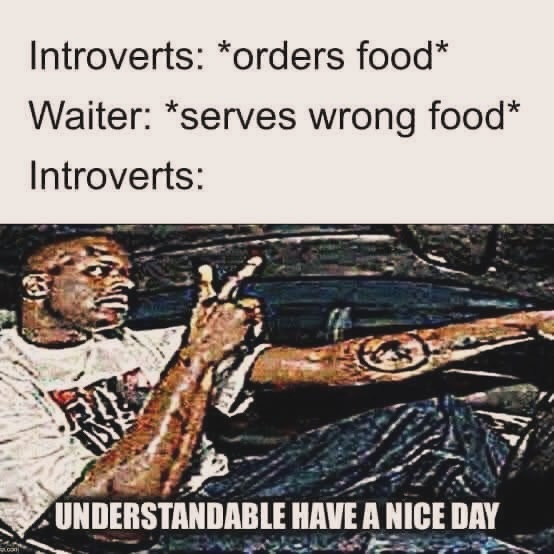20 Introvert Memes That Are Loud Internally and Silent Externally 13 Orders food