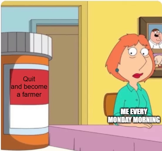 35 Monday Humor Memes for Hardcore Monday Haters 36 Quit and become farmer