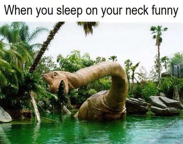 20 Memes That Hit Like a Plot Twist With No Plot 13 Sleep on your neck