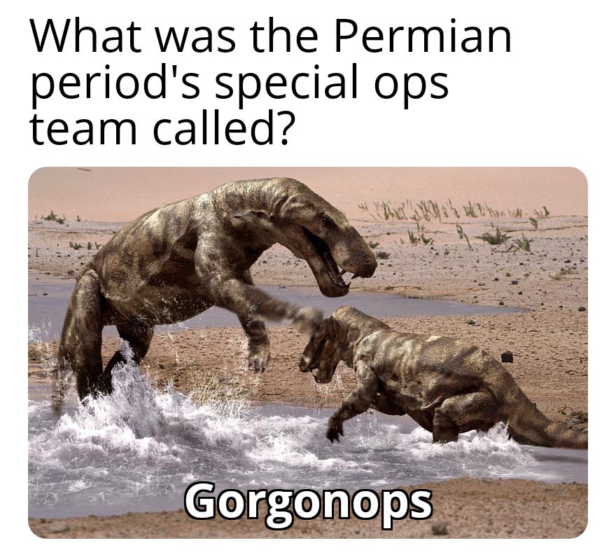 Special ops team called