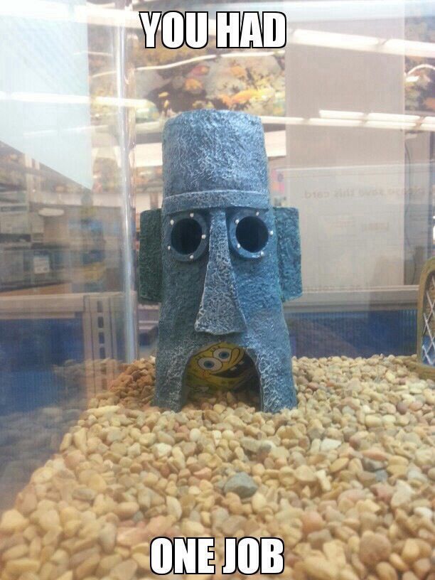 25 “You Had ONE Job” Fails That Spiralled in Every Direction Except Correct 26 Squidward home