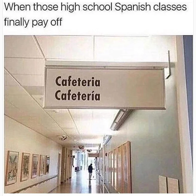 Thank god someone translated this...