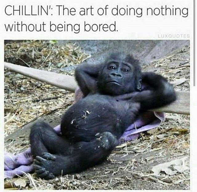 The art of not doing anything