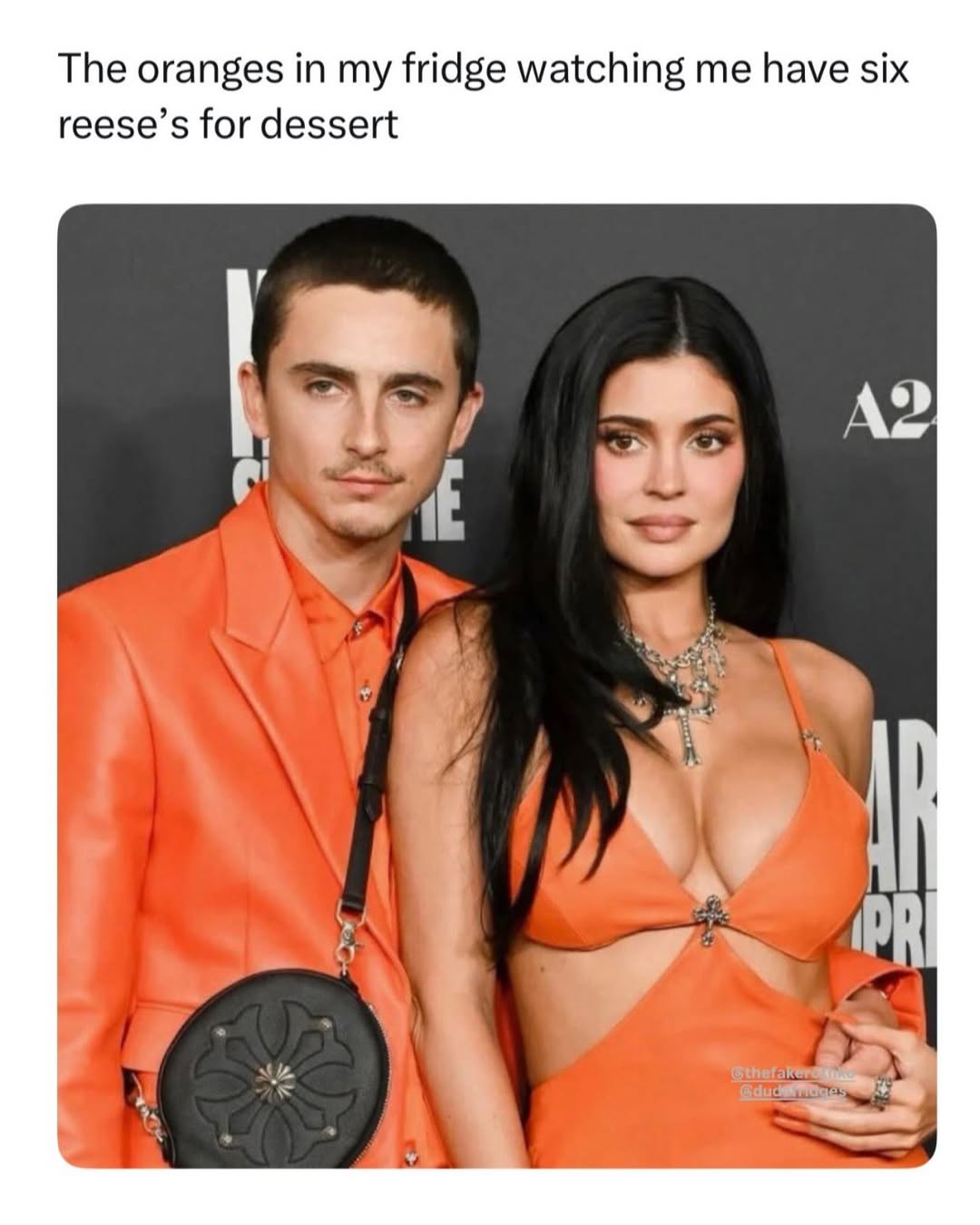 The oranges in my fridge